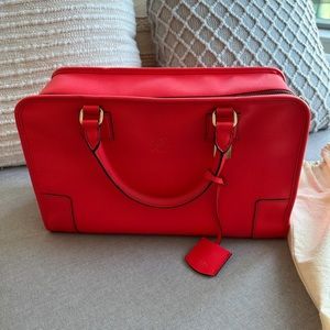 Amazona Loewe calfskin special edition vintage